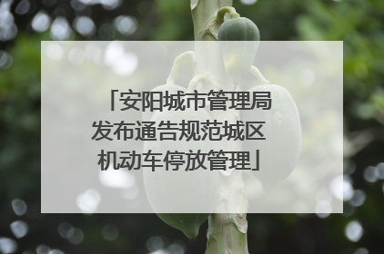 安阳城市管理局发布通告规范城区机动车停放管理