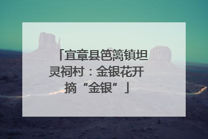 宜章县笆篱镇坦灵祠村：金银花开摘“金银”