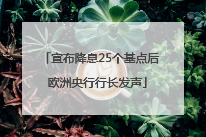 宣布降息25个基点后 欧洲央行行长发声