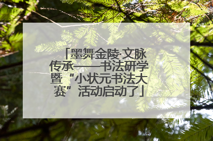 墨舞金陵·文脉传承——书法研学暨“小状元书法大赛”活动启动了