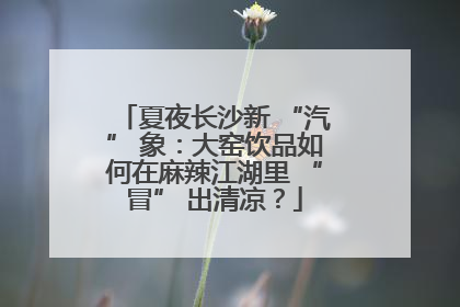 夏夜长沙新 “汽” 象：大窑饮品如何在麻辣江湖里 “冒” 出清凉？