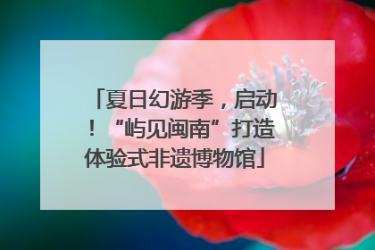 夏日幻游季，启动！“屿见闽南”打造体验式非遗博物馆