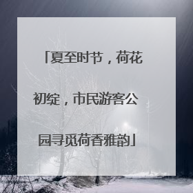 夏至时节，荷花初绽，市民游客公园寻觅荷香雅韵