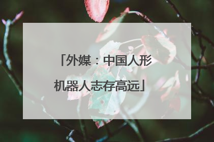 外媒：中国人形机器人志存高远