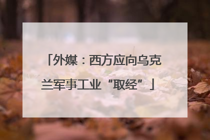 外媒：西方应向乌克兰军事工业“取经”