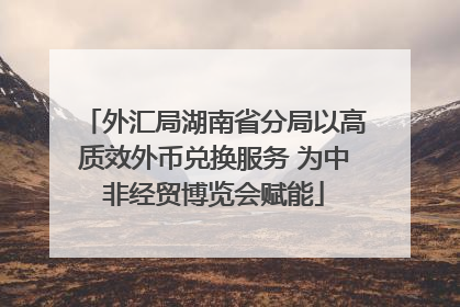 外汇局湖南省分局以高质效外币兑换服务 为中非经贸博览会赋能