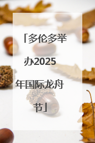 多伦多举办2025年国际龙舟节