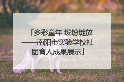 多彩童年 缤纷绽放——南阳市实验学校社团育人成果展示