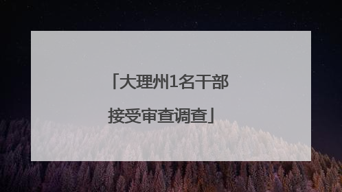大理州1名干部接受审查调查