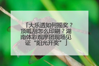 大乐透如何摇奖？顶呱刮怎么印刷？湖南体彩观摩团现场见证“阳光开奖”