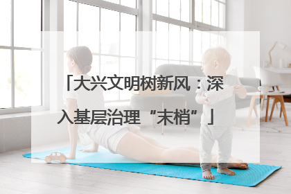 大兴文明树新风：深入基层治理“末梢”