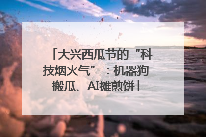 大兴西瓜节的“科技烟火气”：机器狗搬瓜、AI摊煎饼