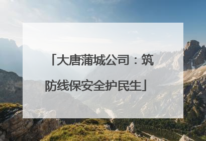 大唐蒲城公司：筑防线保安全护民生