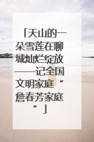 天山的一朵雪莲在聊城灿烂绽放——记全国文明家庭“詹春芳家庭”