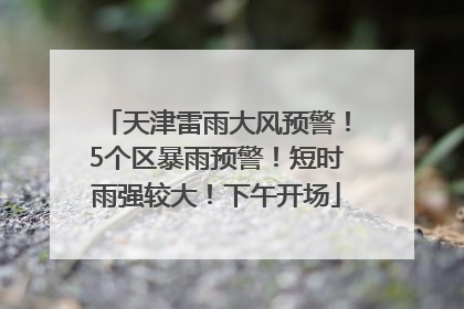天津雷雨大风预警！5个区暴雨预警！短时雨强较大！下午开场