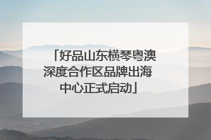 好品山东横琴粤澳深度合作区品牌出海中心正式启动