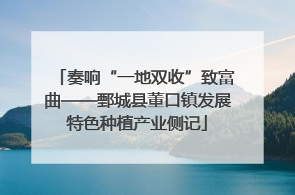 奏响“一地双收”致富曲——鄄城县董口镇发展特色种植产业侧记