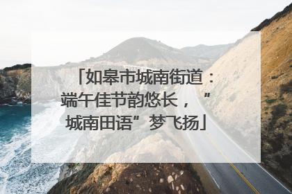 如皋市城南街道：端午佳节韵悠长，“城南田语”梦飞扬