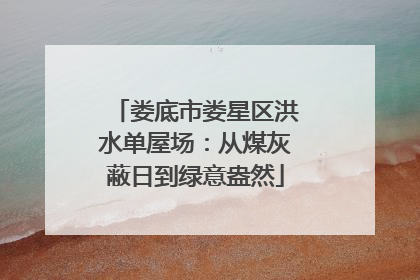 娄底市娄星区洪水单屋场：从煤灰蔽日到绿意盎然