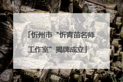 忻州市“忻青苗名师工作室”揭牌成立
