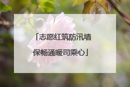 志愿红筑防汛墙 保畅通暖司乘心