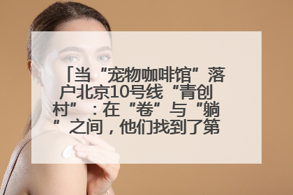 当“宠物咖啡馆”落户北京10号线“青创村”：在“卷”与“躺”之间，他们找到了第三种生活公式