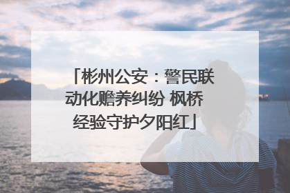 彬州公安：警民联动化赡养纠纷 枫桥经验守护夕阳红