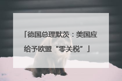 德国总理默茨：美国应给予欧盟“零关税”