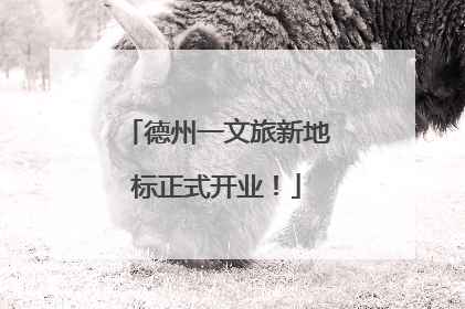 德州一文旅新地标正式开业！