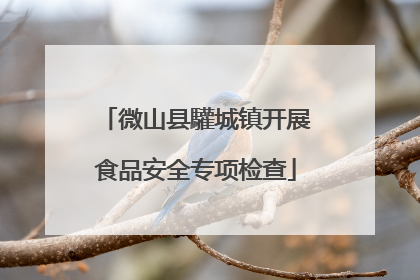 微山县驩城镇开展食品安全专项检查