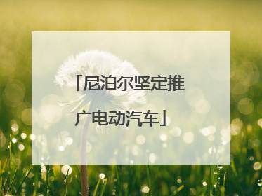 尼泊尔坚定推广电动汽车