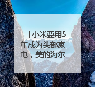 小米要用5年成为头部家电，美的海尔真的“不惧竞争”？｜热财经
