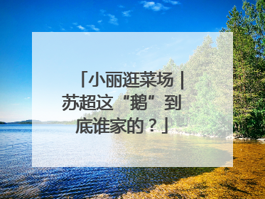 小丽逛菜场｜苏超这“鹅”到底谁家的？