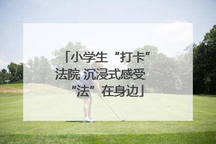 小学生“打卡”法院 沉浸式感受“法”在身边