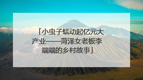 小虫子蠕动起亿元大产业——菏泽女老板李端端的乡村故事