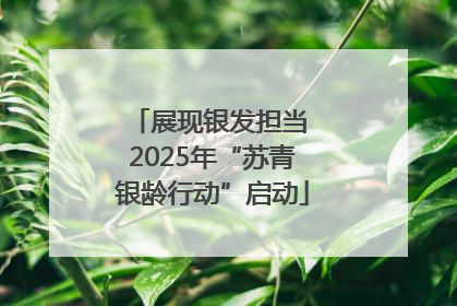 展现银发担当 2025年“苏青银龄行动”启动