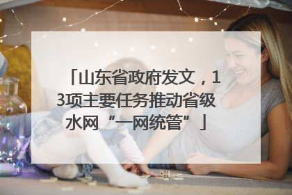 山东省政府发文，13项主要任务推动省级水网“一网统管”