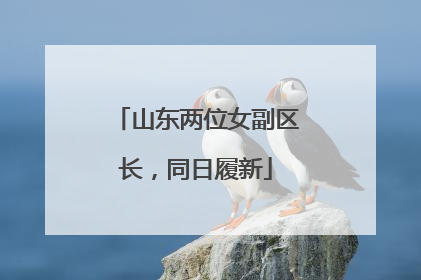 山东两位女副区长，同日履新
