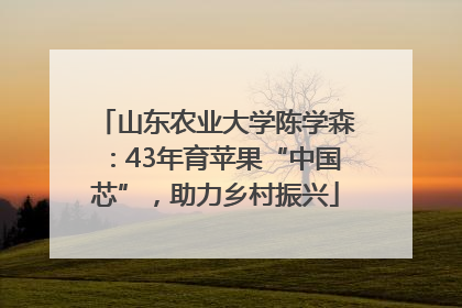 山东农业大学陈学森：43年育苹果“中国芯”，助力乡村振兴
