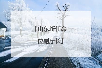 山东新任命一位副厅长
