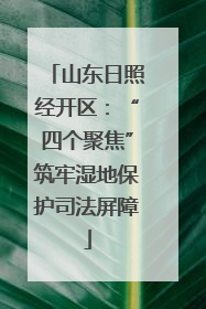 山东日照经开区：“四个聚焦”筑牢湿地保护司法屏障