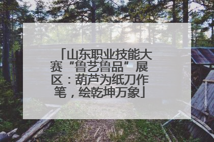 山东职业技能大赛“鲁艺鲁品”展区：葫芦为纸刀作笔，绘乾坤万象