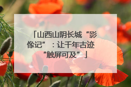 山西山阴长城“影像记”：让千年古迹“触屏可及”