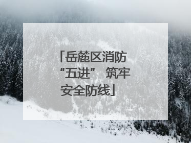 岳麓区消防 “五进” 筑牢安全防线