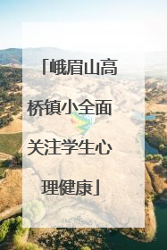 峨眉山高桥镇小全面关注学生心理健康