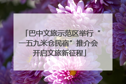 巴中文旅示范区举行“一五九米仓民宿”推介会 开启文旅新征程