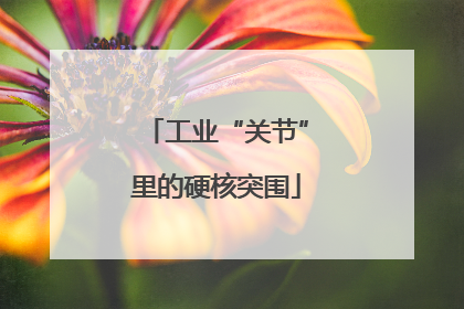 工业“关节”里的硬核突围