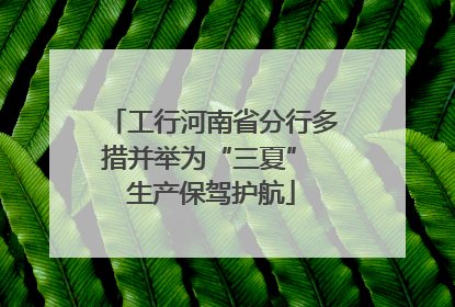 工行河南省分行多措并举为“三夏” 生产保驾护航