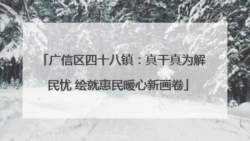 广信区四十八镇：真干真为解民忧 绘就惠民暖心新画卷