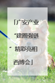 广安产业“建圈强链”精彩亮相西博会